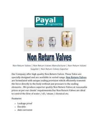 Non Return Valves payal
