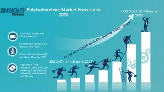 Polyisobutylene Market to Expand with Significant CAGR by 2028