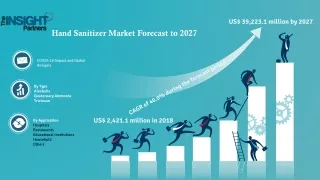 Hand Sanitizer Market