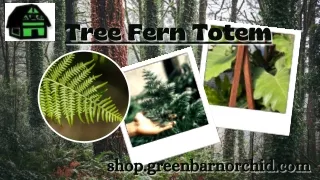 Get the Best Tree Fern Totem at an affordable price- Green Barn Orchid