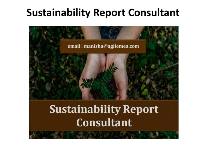 sustainability report consultant