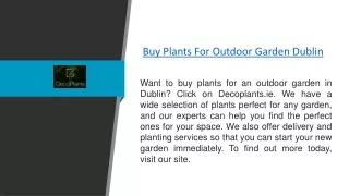 Buy Plants For Outdoor Garden Dublin  Decoplants.ie