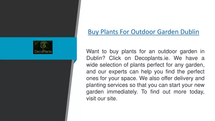 buy plants for outdoor garden dublin