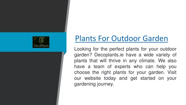 plants for outdoor garden