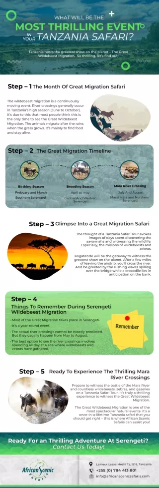 What Will Be The Most Thrilling Event In Your Tanzania Safari
