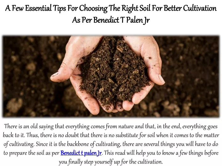 a few essential tips for choosing the right soil