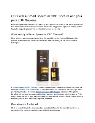 CBD with a Broad Spectrum CBD Tincture and your pets _ OH Sapiens