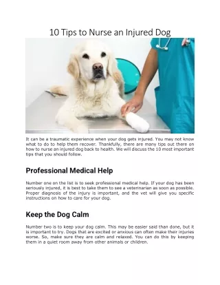 10 Tips to Nurse an Injured Dog