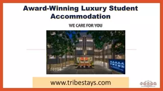 Check Out Tribe Stays  - Best Boys Pune Hostel