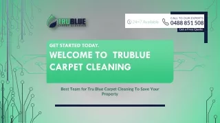 Tru Blue Carpet Cleaning