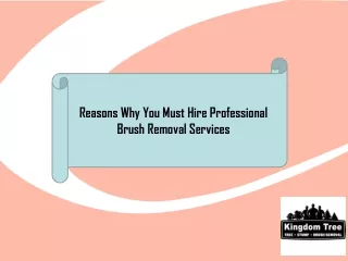 Reasons Why You Must Hire Professional Brush Removal Services