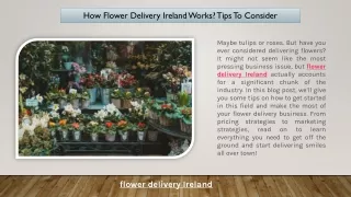 How Flower Delivery Ireland Works Tips To Consider