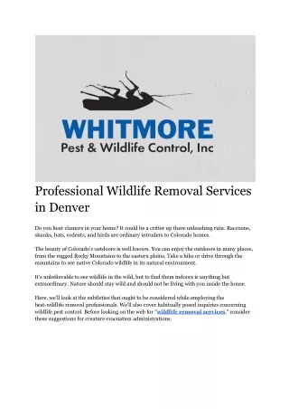 Professional Wildlife Removal Services in Denver