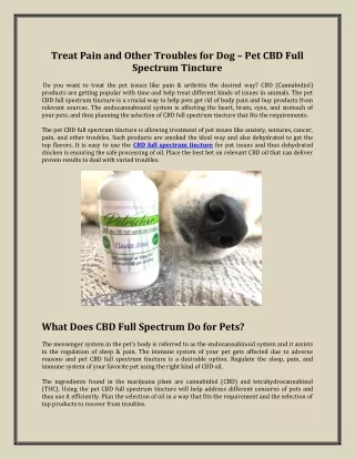 Pet CBD Full Spectrum Tincture