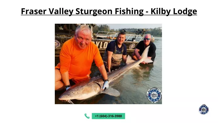 fraser valley sturgeon fishing kilby lodge