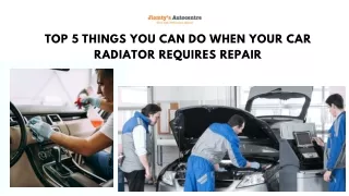 Top 5 Things You Can Do When Your Car Radiator Requires Repair 1