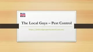 Exterminator Melbourne | Thelocalguyspestcontrol.com.au