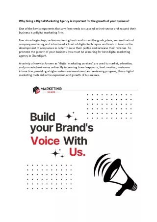 Why hiring a Digital Marketing Agency is important for the growth of your business (1)