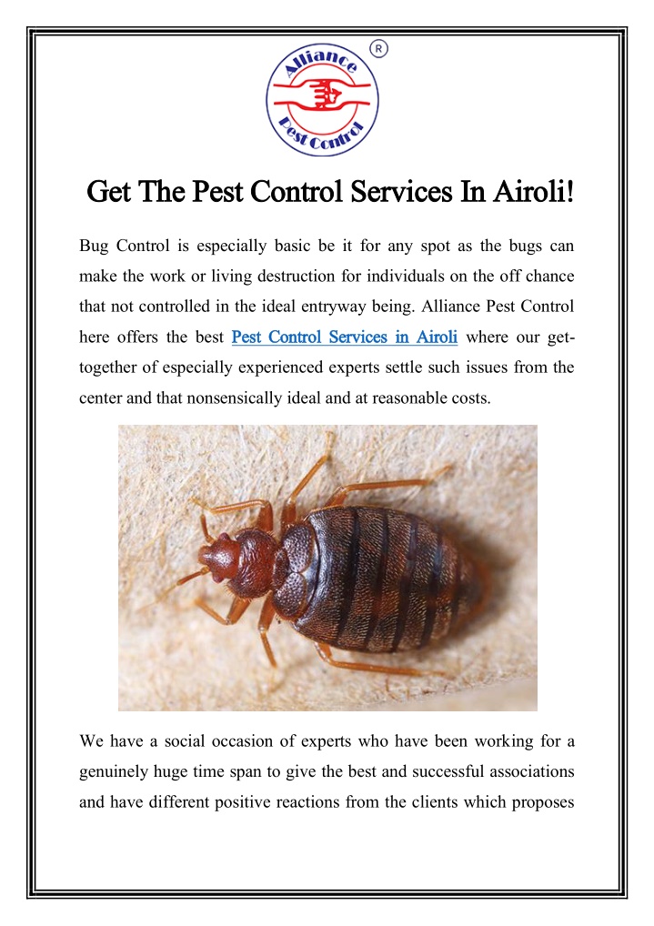 get get the the pest control pest control