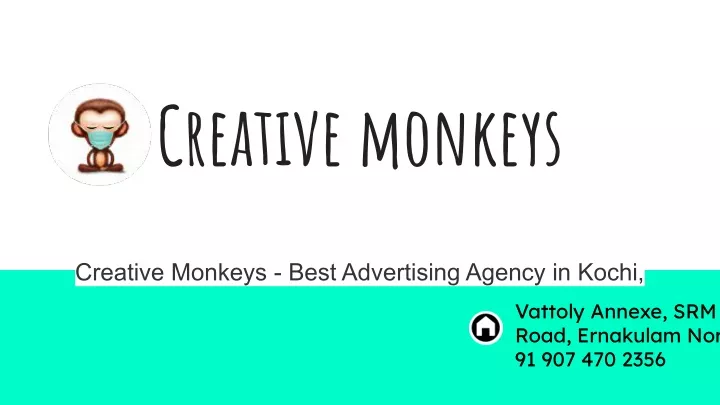 creative monkeys