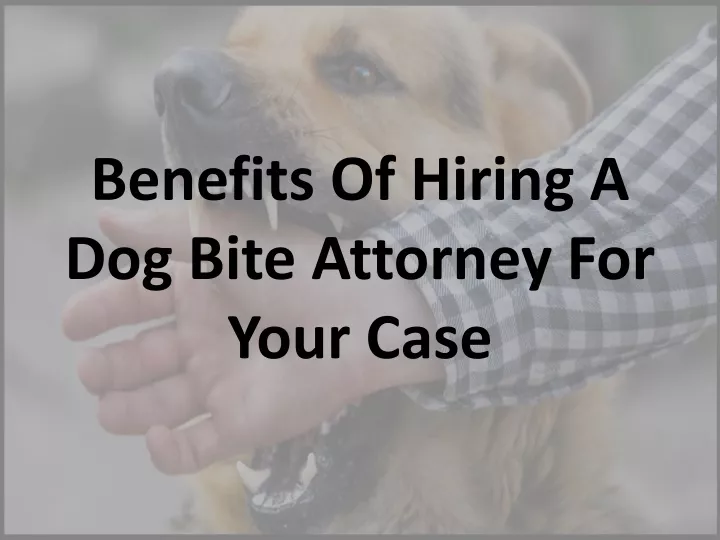 benefits o f hiring a dog bite attorney for y our case