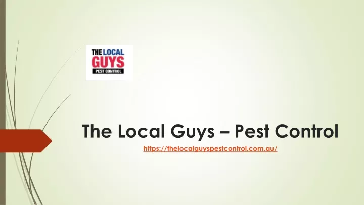 the local guys pest control https