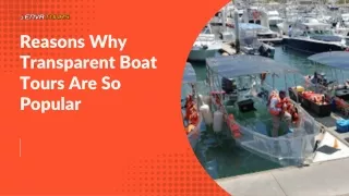 Reasons Why Transparent Boat Tours Are So Popular