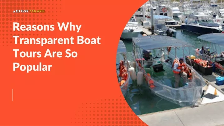 reasons why transparent boat tours are so popular