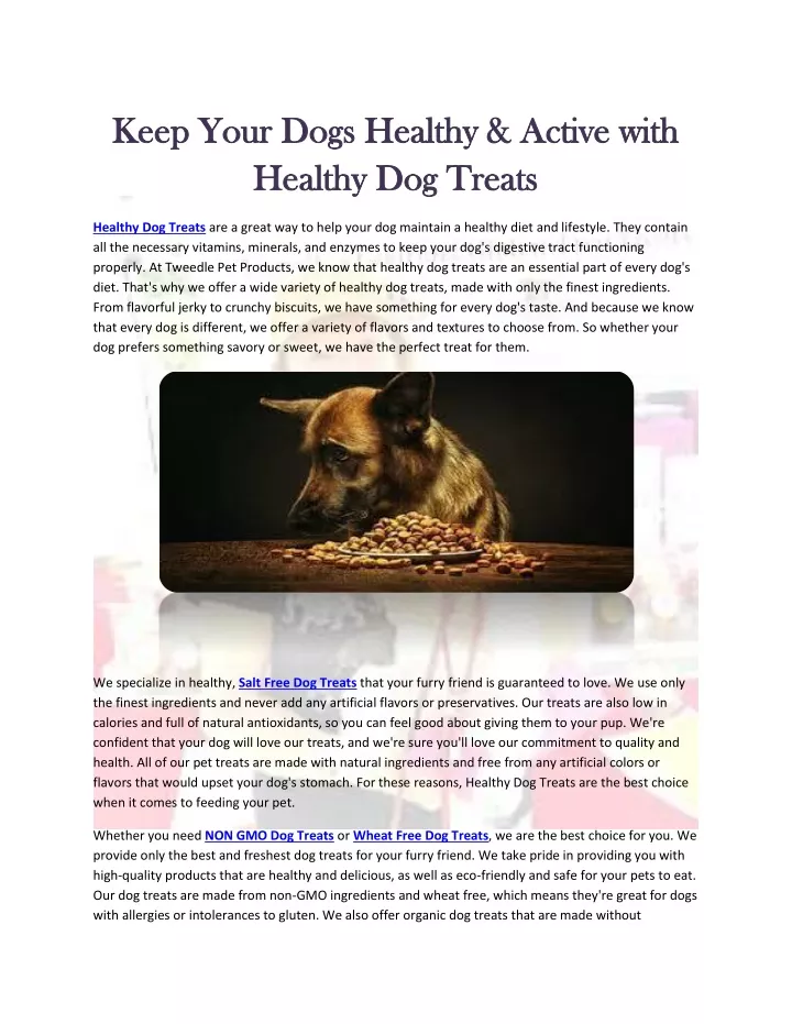 keep your dogs healthy active with keep your dogs