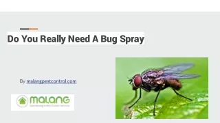 Do You Really Need A Bug Spray
