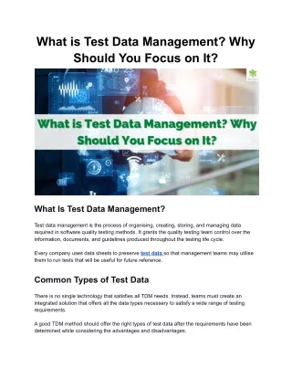 what is test data management why should you focus