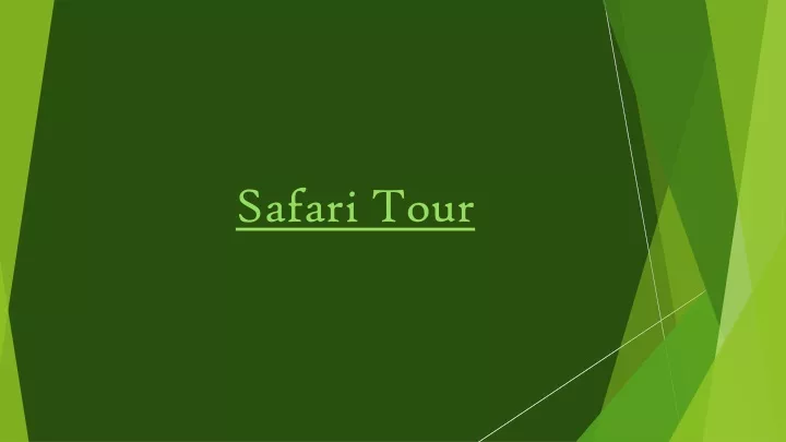 safari tour