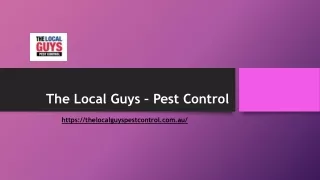 Pest Control Manly | Thelocalguyspestcontrol.com.au