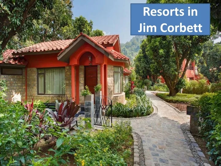 resorts in jim corbett