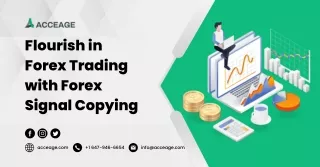 Flourish in Forex Trading with Forex Signal Copying