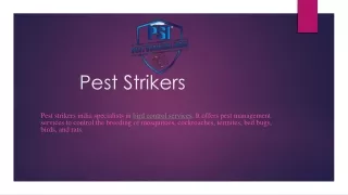 pest strikers