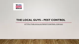 Sydney Termite Treatment | Thelocalguyspestcontrol.com.au
