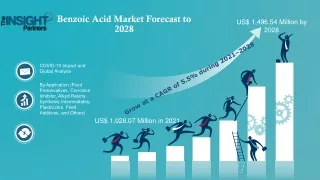 Benzoic Acid Market - Industry Trends and Forecast to 2028