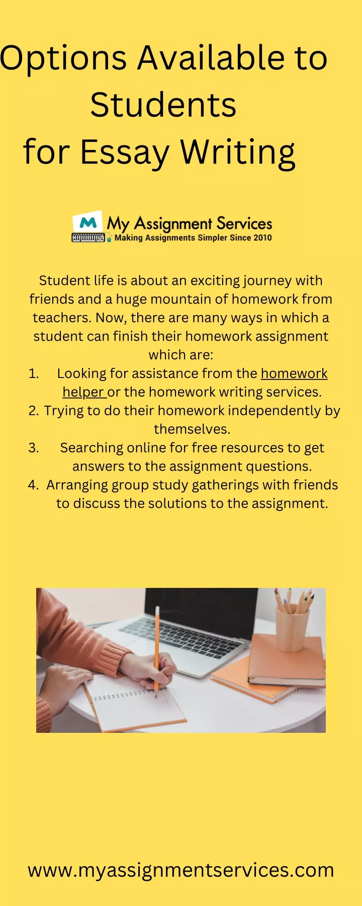 options available to students for essay writing