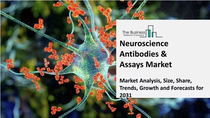 neuroscience antibodies assays market market