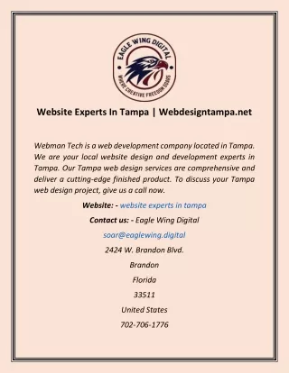 website experts in tampa webdesigntampa net