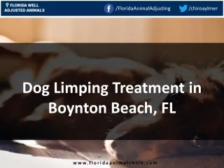 Dog Limping Treatment in Boynton Beach, FL