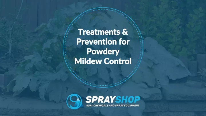 treatments prevention for powdery mildew control