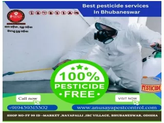 Best Pest Control Services In Bhubaneswar | Anusaya Pest Control