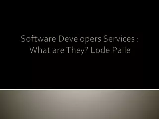software developers services what are they lode palle