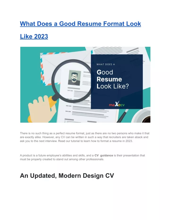what does a good resume format look