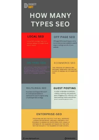 How many types of seo