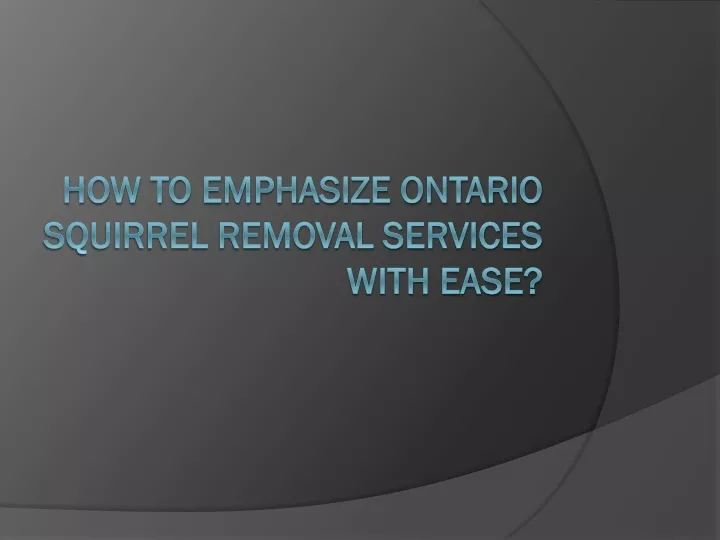 how to emphasize ontario squirrel removal services with ease