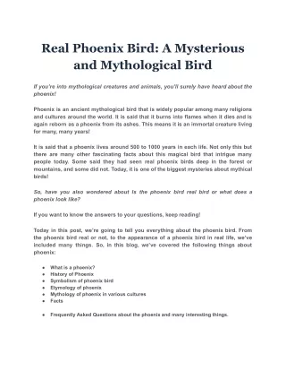 real phoenix bird a mysterious and mythological