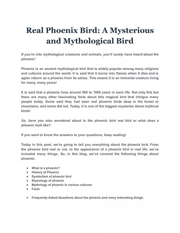 real phoenix bird a mysterious and mythological